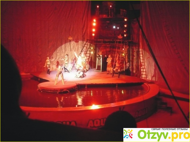 Московский цирк на воде Aqua show фото6