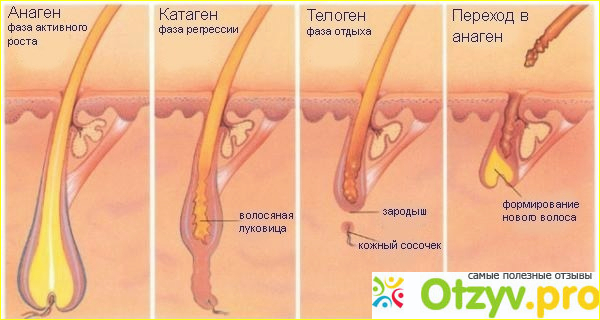 Процедура