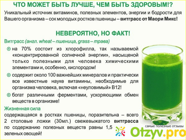 Как сделать сок Витграсс в домашних условиях: инструкция и советы