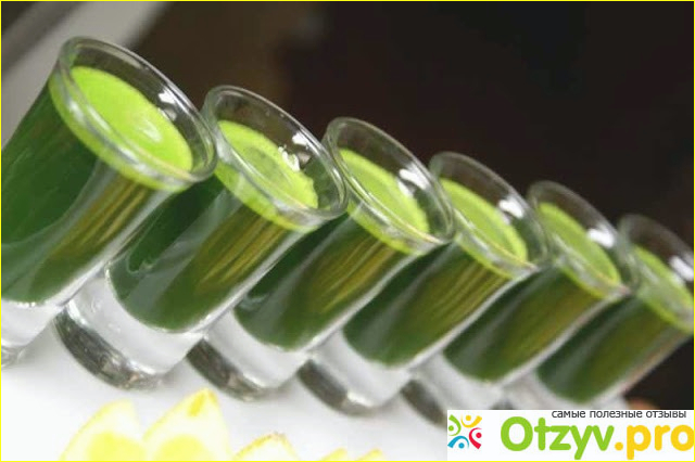 Что такое WheatGrass или пшеница Витграсс: польза, вред, правда и развод