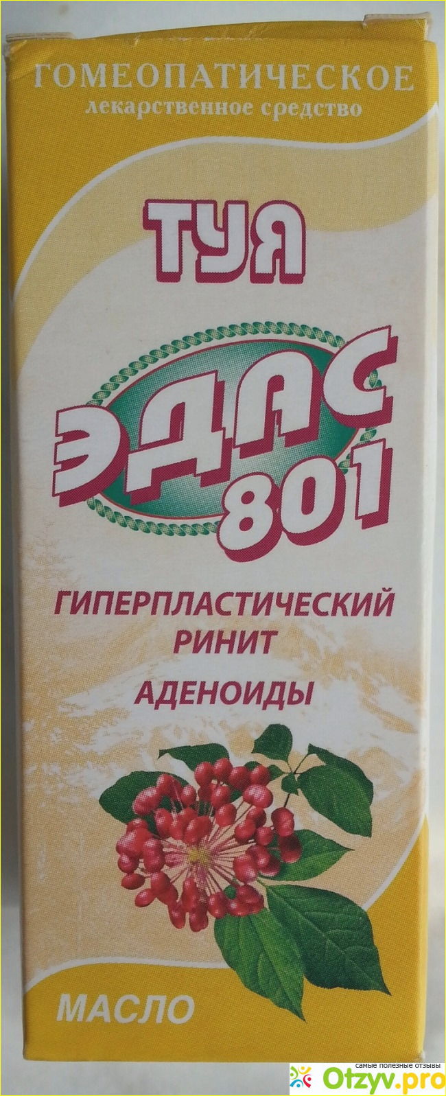 Отзыв о Эдас 801