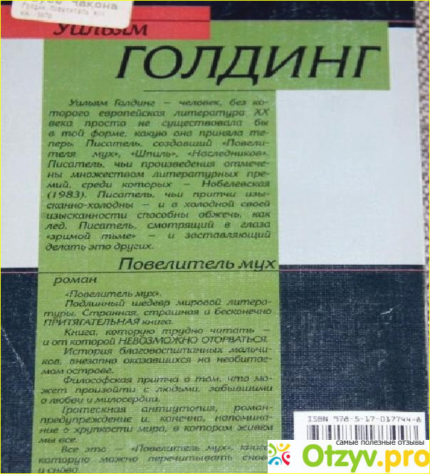 О сюжете книги Повелитель мух и не только.