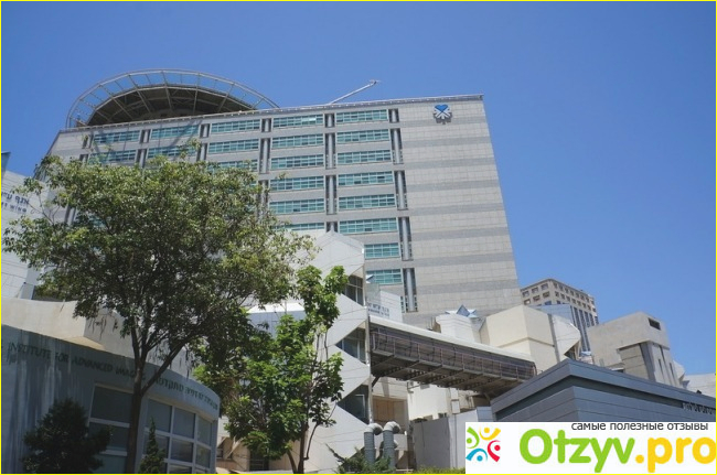 Отзыв о Первый медицинский центр Тель-Авива