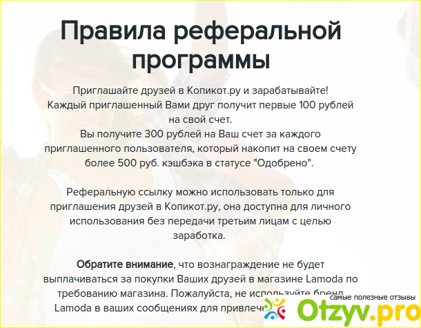 Отзыв о Kopikot.ru-реальный сайт