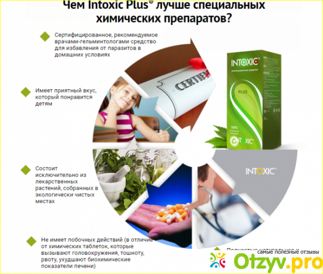 Насколько безопасен Intoxic plus: состав и возможные противопоказания