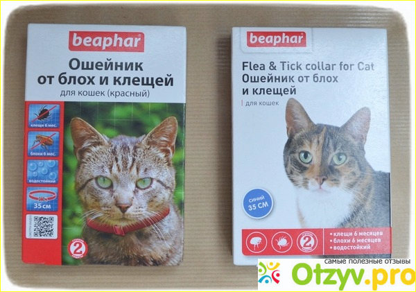 Отзыв о Ошейник против блох и клещей Beaphar для кошек