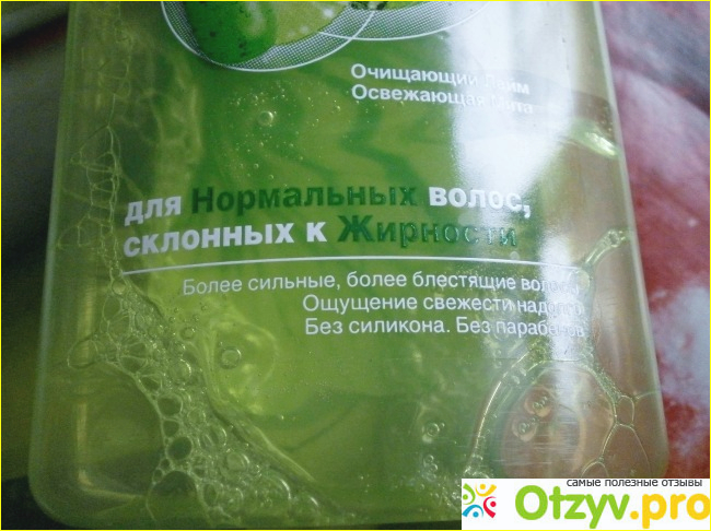 Шампунь для волос Garnier Fructis Свежесть мохито фото1