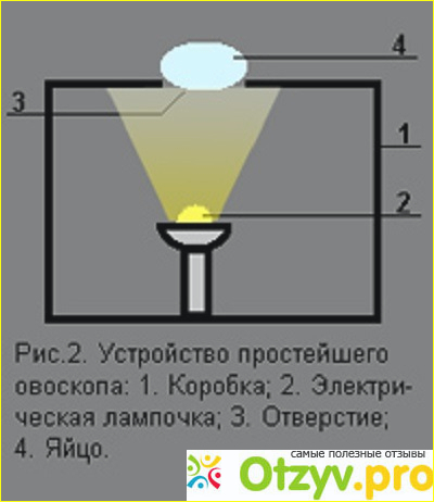 Овоскопы