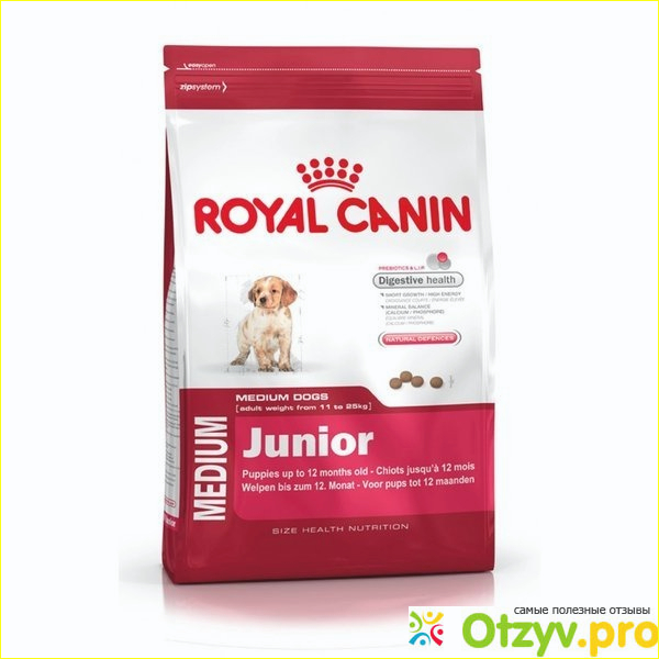 Особенности корма Royal canin junior