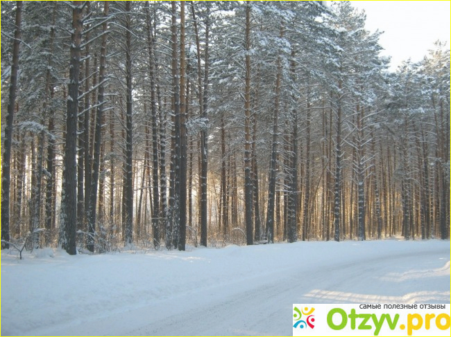 Новый год в Горном Алтае фото3