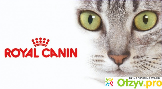 Royal Canin кастрированный кот