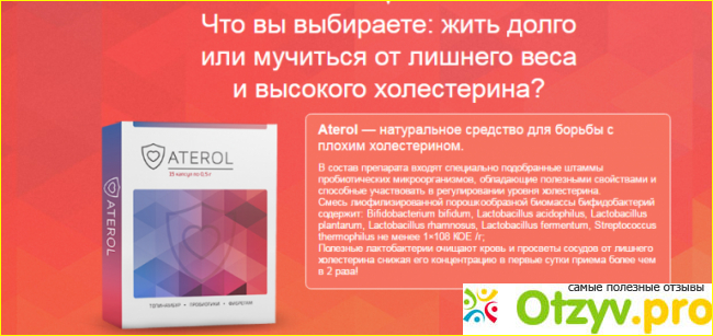 Что представляет собой препарат ATEROL от холестерина: состав и свойства