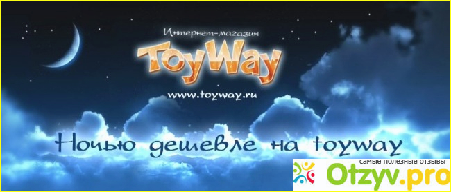 Отзыв о ToyWay.Ru