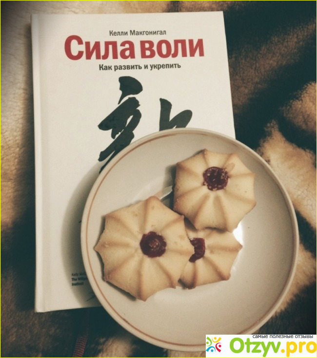 О книге