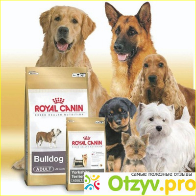 Принцип работы компании ROYAL CANIN®