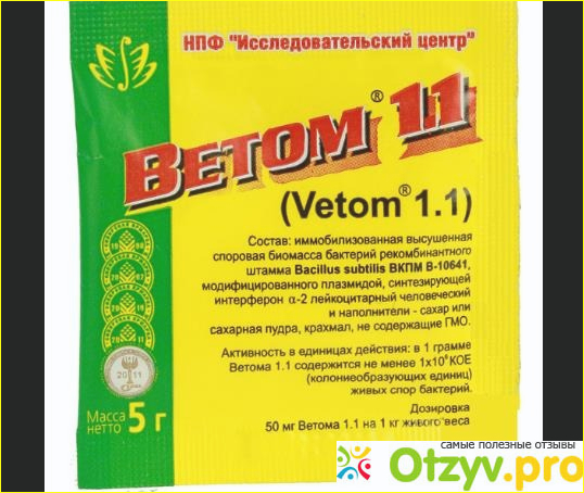 Когда назначают Ветом 1.1?