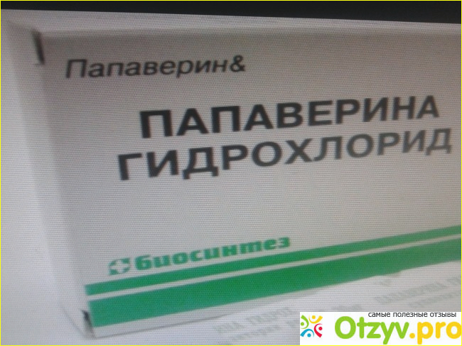 Папаверин отзывы. Папаверин мазь. Папаверин свечи детям при температуре. Папаверин свечи цена и где купить. Папаверин инструкция свечи от молочницы для женщин.