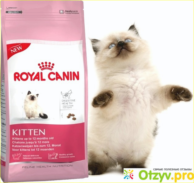 Royal canin kitten фото2