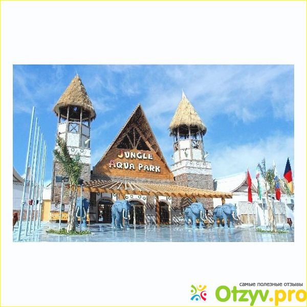 Отзывы.