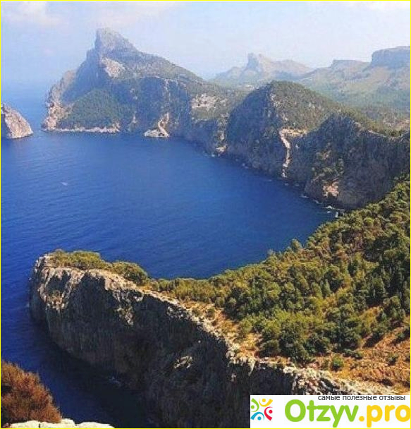 Пальма де майорка фото4