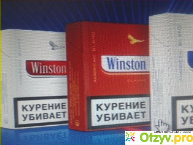 Отзыв о Winston.ru