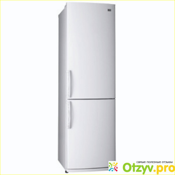 Отзыв о Двухкамерный холодильник Gorenje RK 41200 W