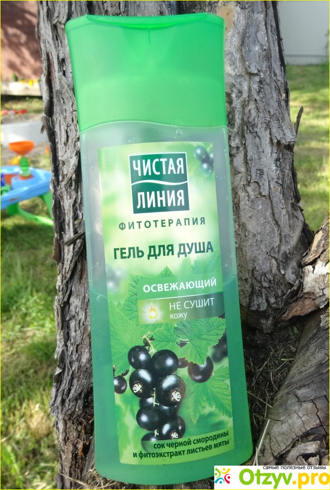 Отзыв о Гель для душа Чистая Линия "Освежающий" с мятой и черной смородиной
