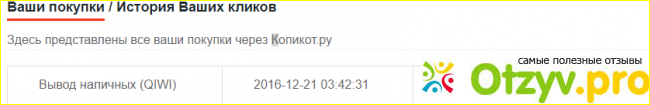 Отзыв о Сайт kopikot.ru для возврата денег от покупок