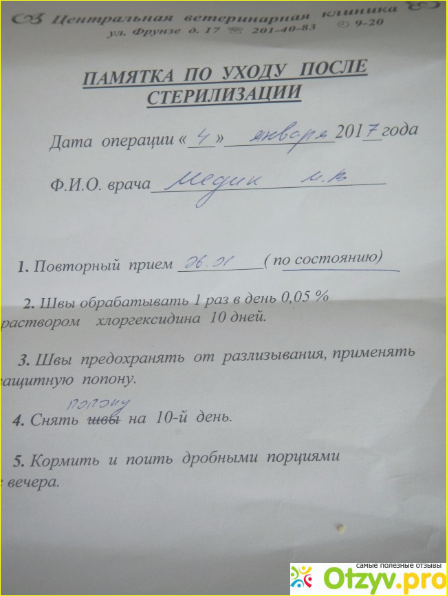 Хочу поделиться своим опытом в таком непростом на первый взгляд деле как стерилизация кошки.