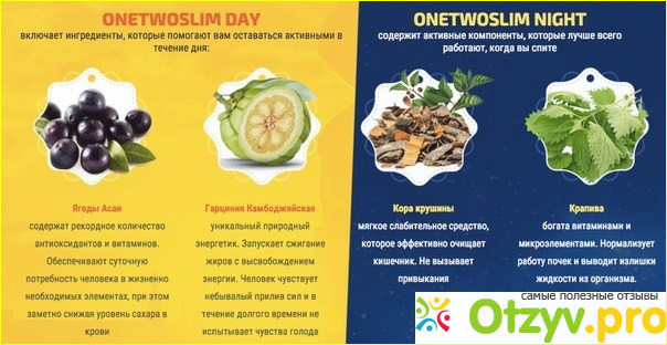 Onetwoslim day night. Описание препарата