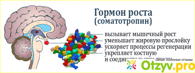 Отзыв о Гормон роста в спб