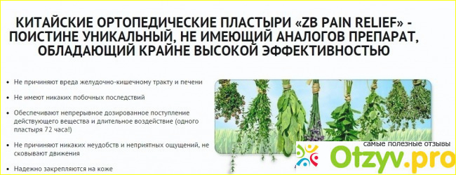 Отзыв о Пластырь zb pain relief цена