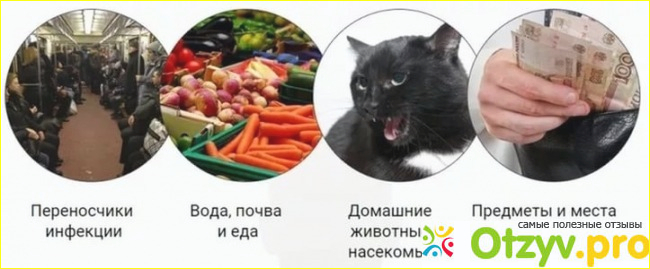 Интоксик отзывы развод