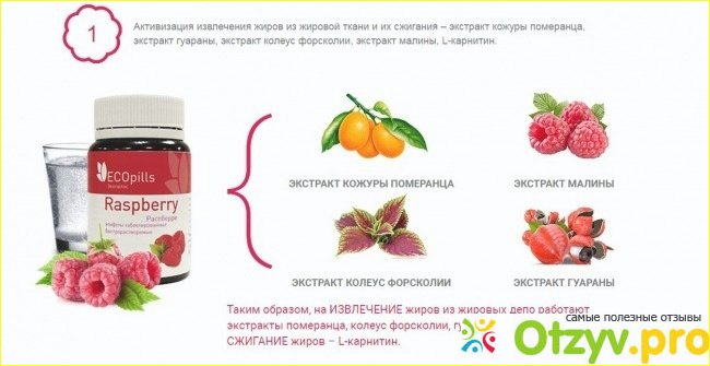 Eco Pills Raspberry фото1