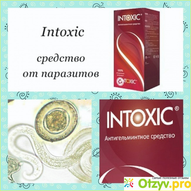 Intoxic отзывы о препарате фото2