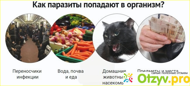 Где купить