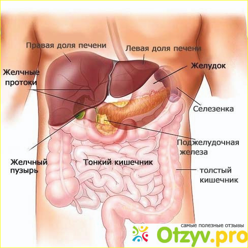 Как принимать препарат