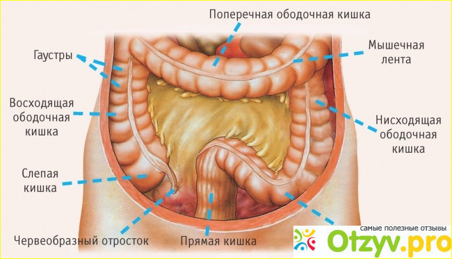  Противопоказания к применению: