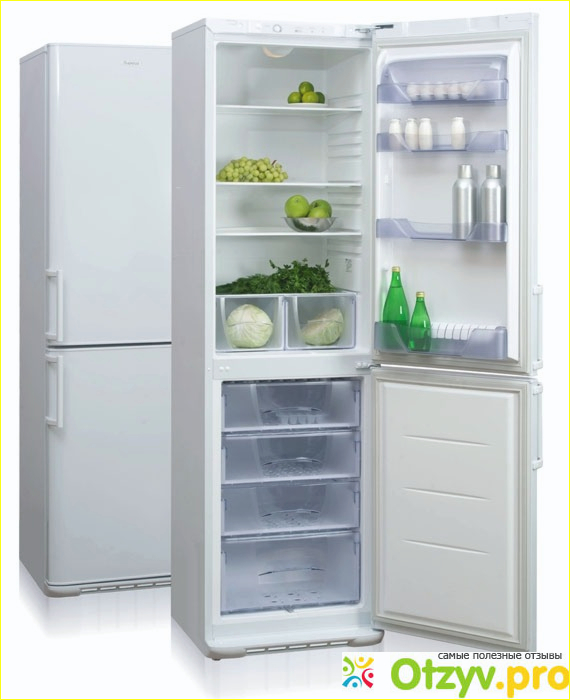 Отзыв о Двухкамерный холодильник Бирюса 149