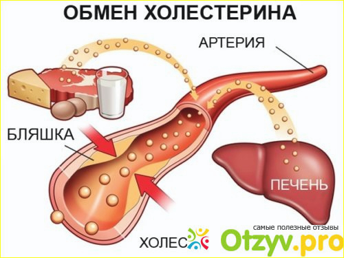 Отзыв о Как понизить холестерин в домашних условиях быстро