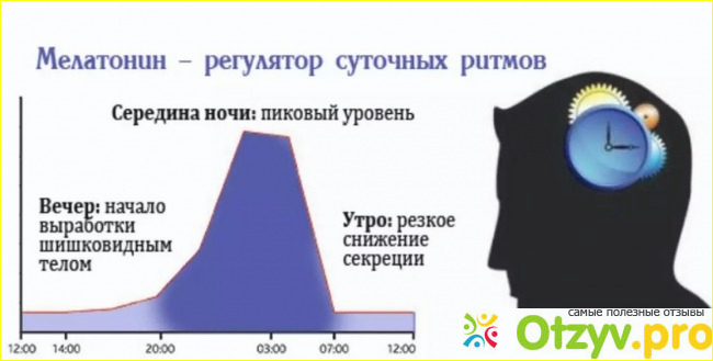 Как принимать мелатонин 