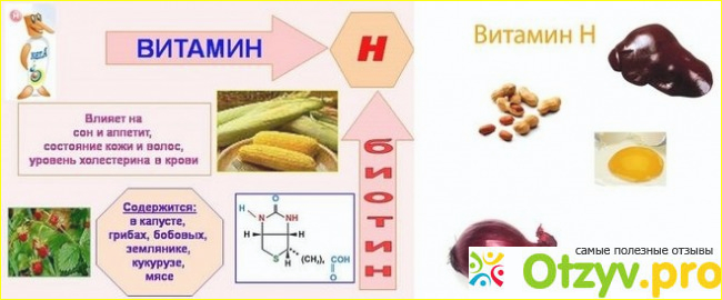 Когда показано применение витаминов: