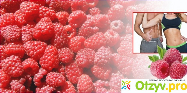 Raspberry ketone. Описание препарата