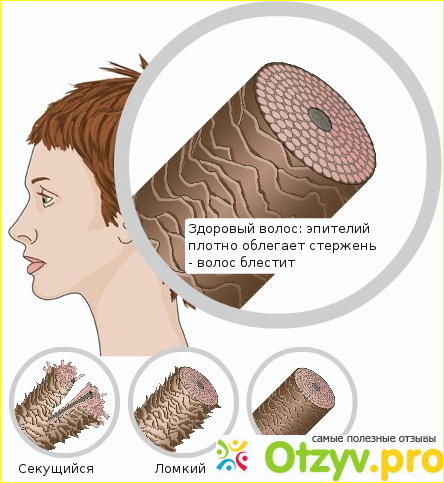 1. Предисловие (или почему я пошла на биоламинирование волос):