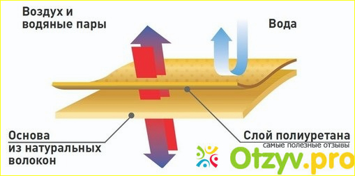 Сферы использования экокожи 