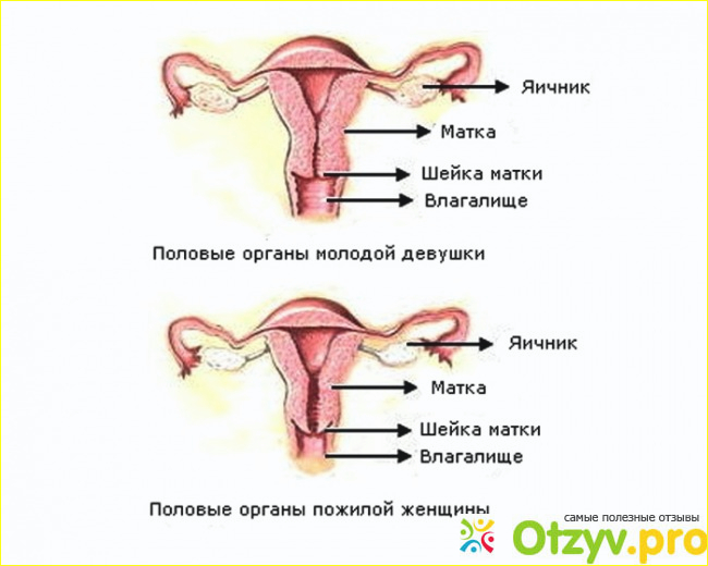 Показание к применению биологически активной добавки Гемафемин.