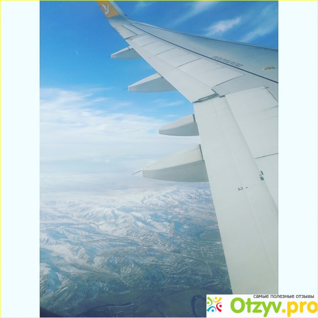 Авиакомпания Pegasus Airlines фото1