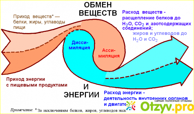 Клинические испытания