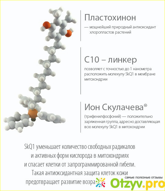 Показания для применения