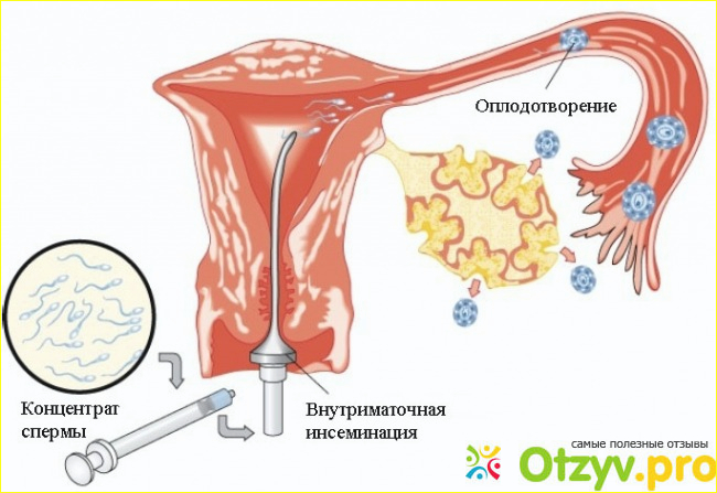 Как проводится